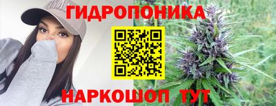 дмт Гусь-Хрустальный
