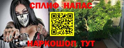 Альфа ПВП Гусев