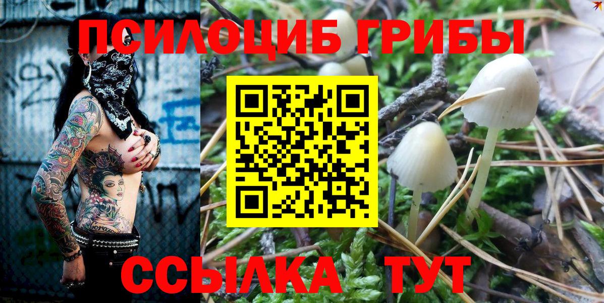 продажа наркотиков  Вход с VPN  Кизилюрт  Псилоцибиновые грибы GOLDEN TEACHER 